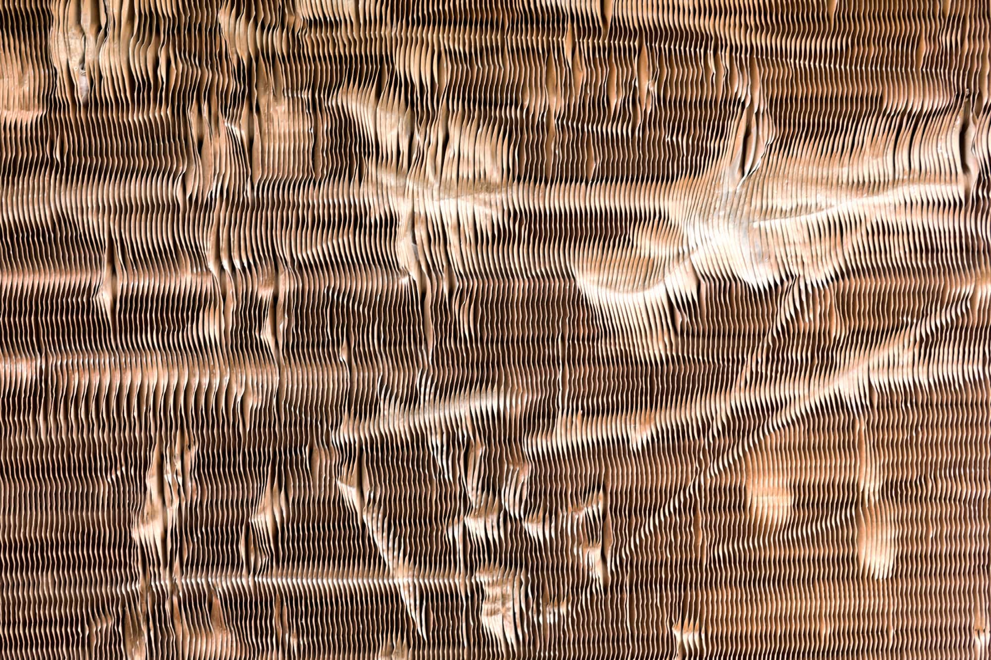 AdobeStock_2005463381